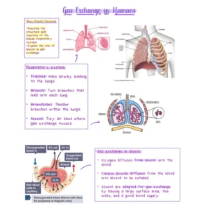 Biology GCSE Revision Notes