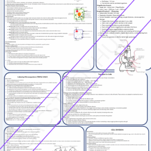 AQA Biology GCSE Paper 1 Revision Notes and Flashcards  - Online PDF
